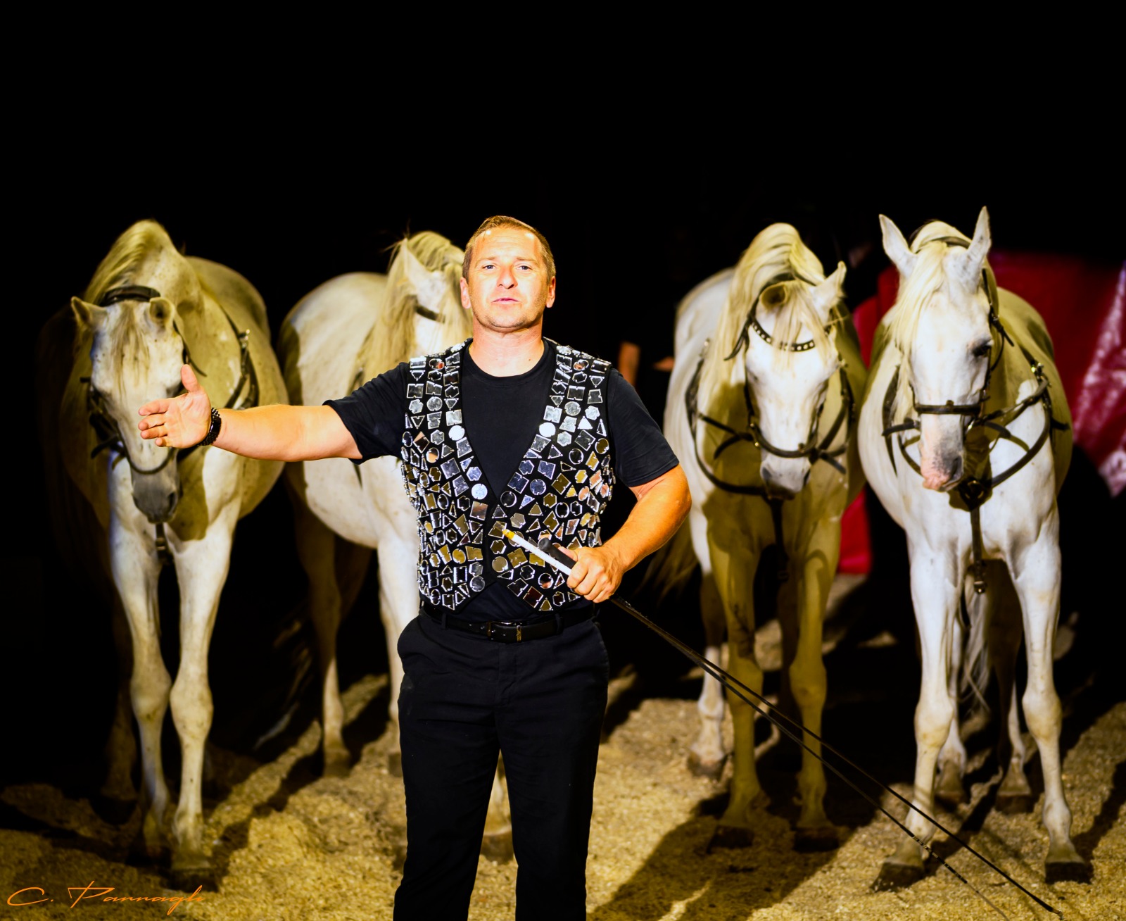 Direktor Spindler mit den Araber Hengsten